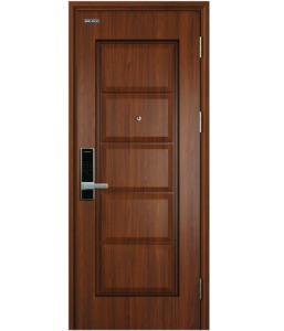 Mẫu cửa thép vân gỗ Galaxy