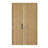 Cửa thép vân gỗ FD212