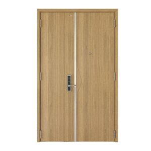 Cửa thép vân gỗ FD212