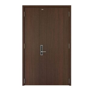 Cửa thép vân gỗ FD213